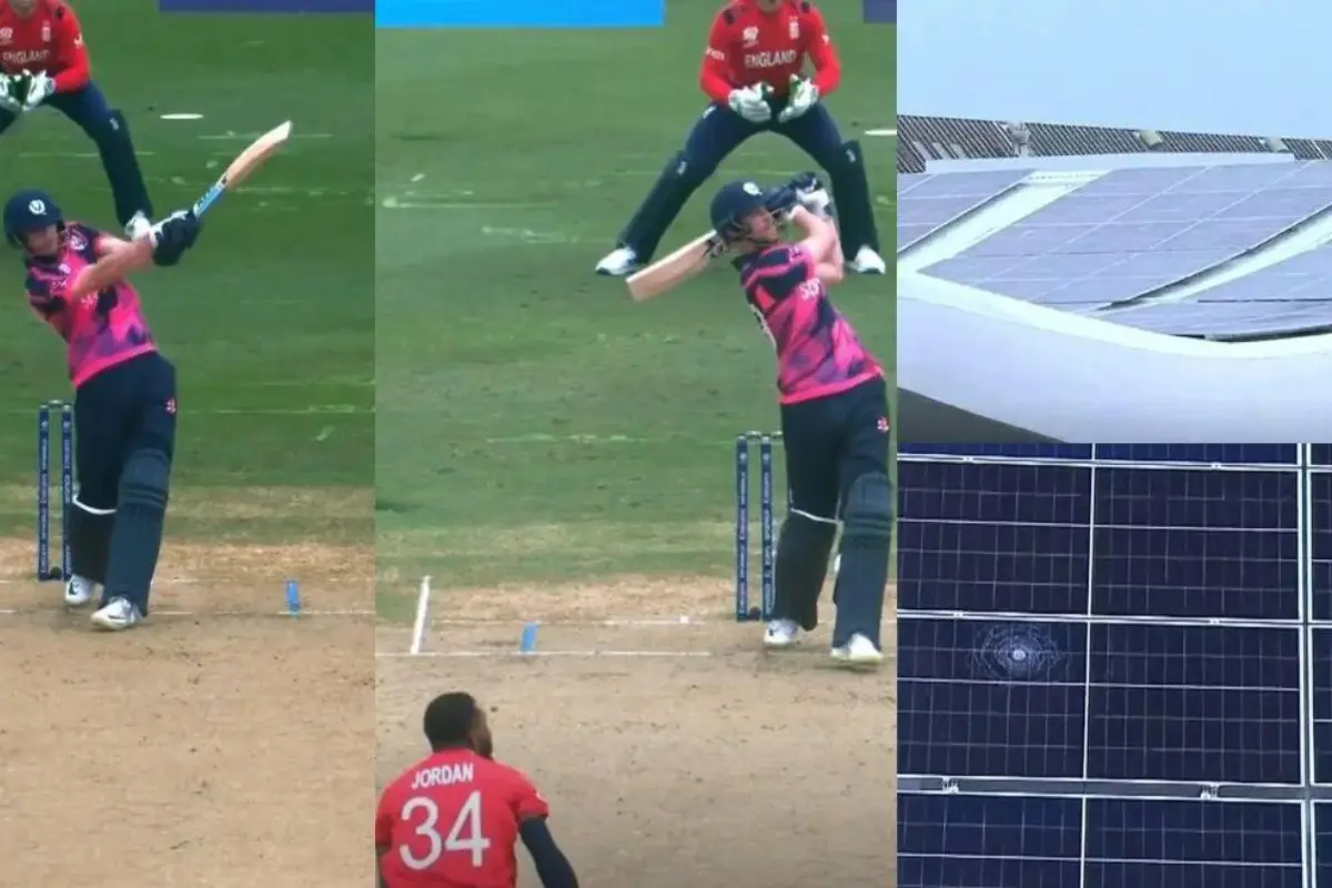 Cricket Viral Video Cricket Viral Video