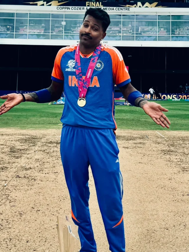 Hardik Pandya IND VS SA FINAL performance (5)