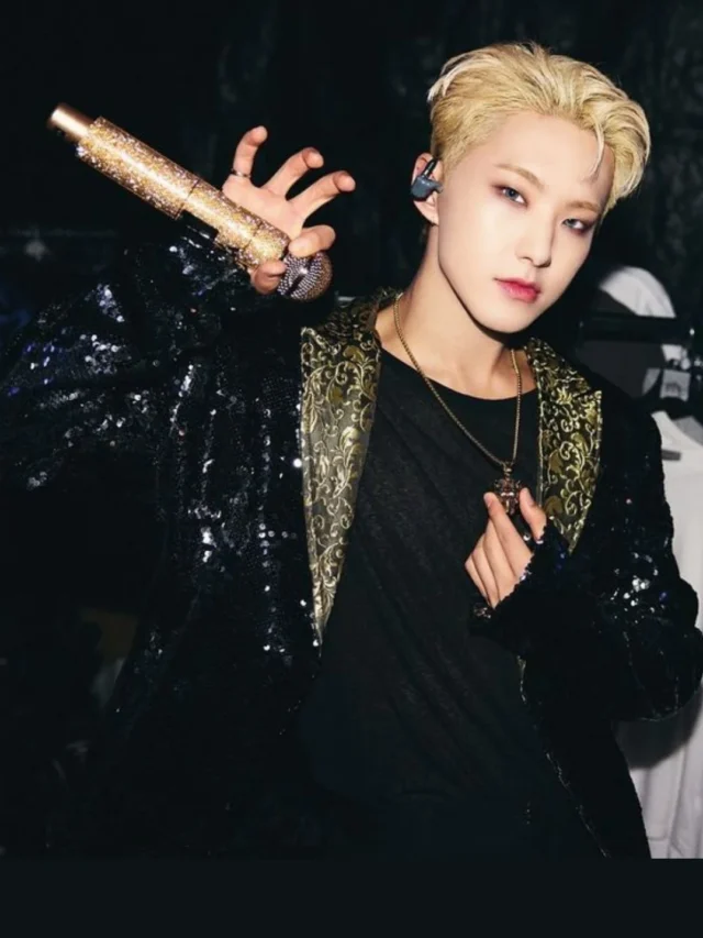 SEVENTEEN Hoshi (3)