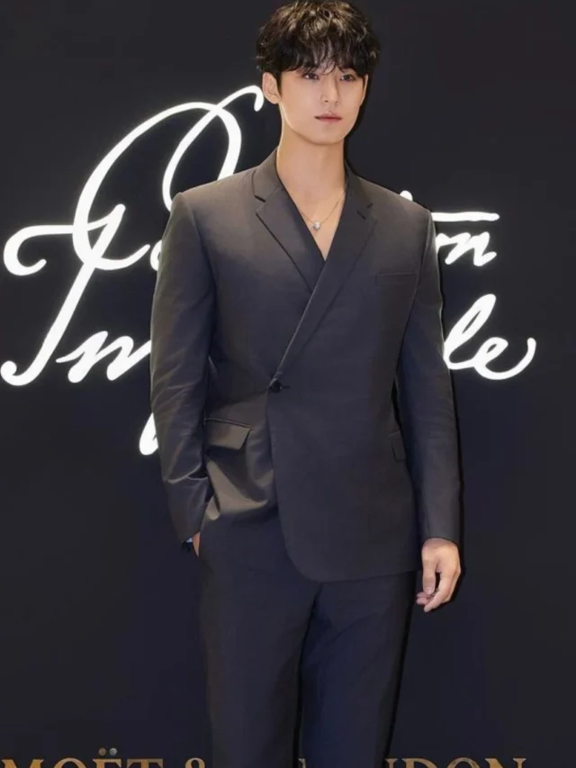 Seventeen Mingyu (1)