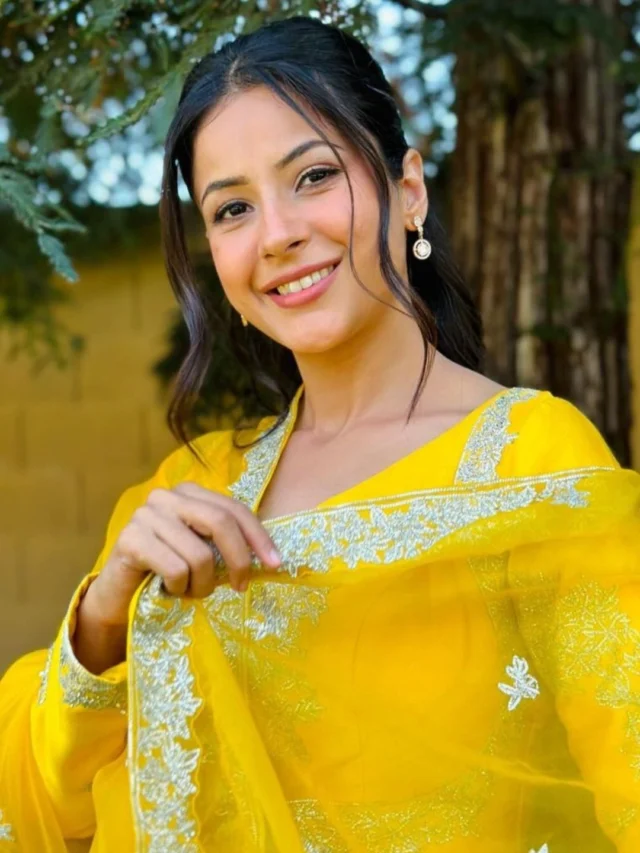 Shehnaaz Gill (4)