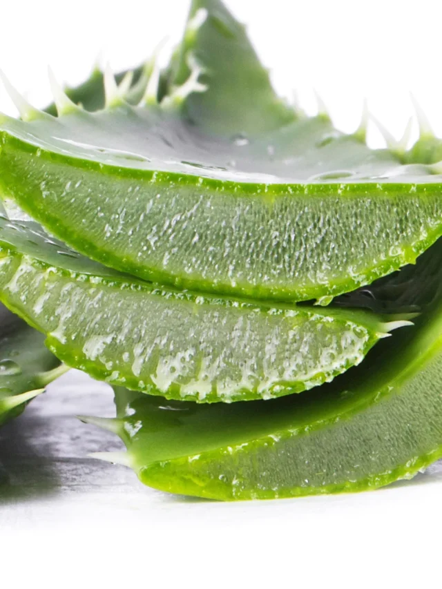 Aloe Vera (9)