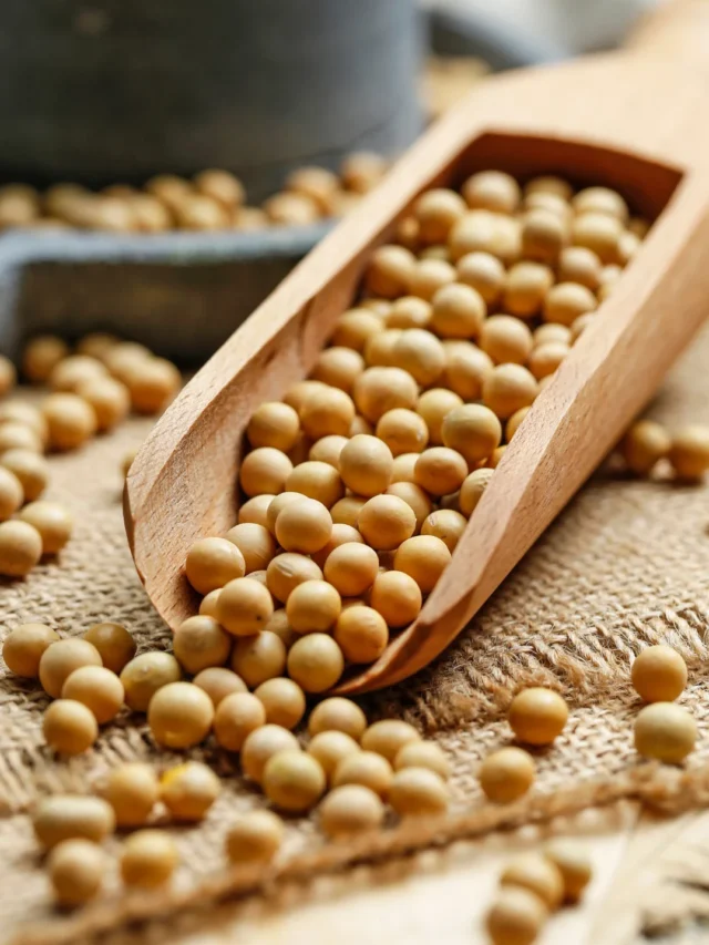 Soybeans (1)