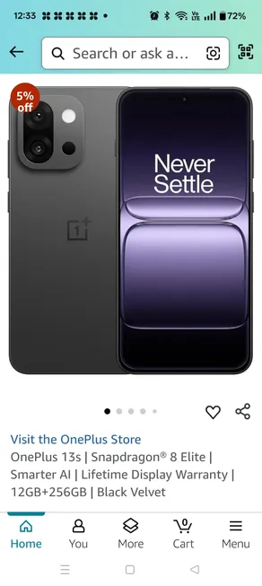 oneplus13s