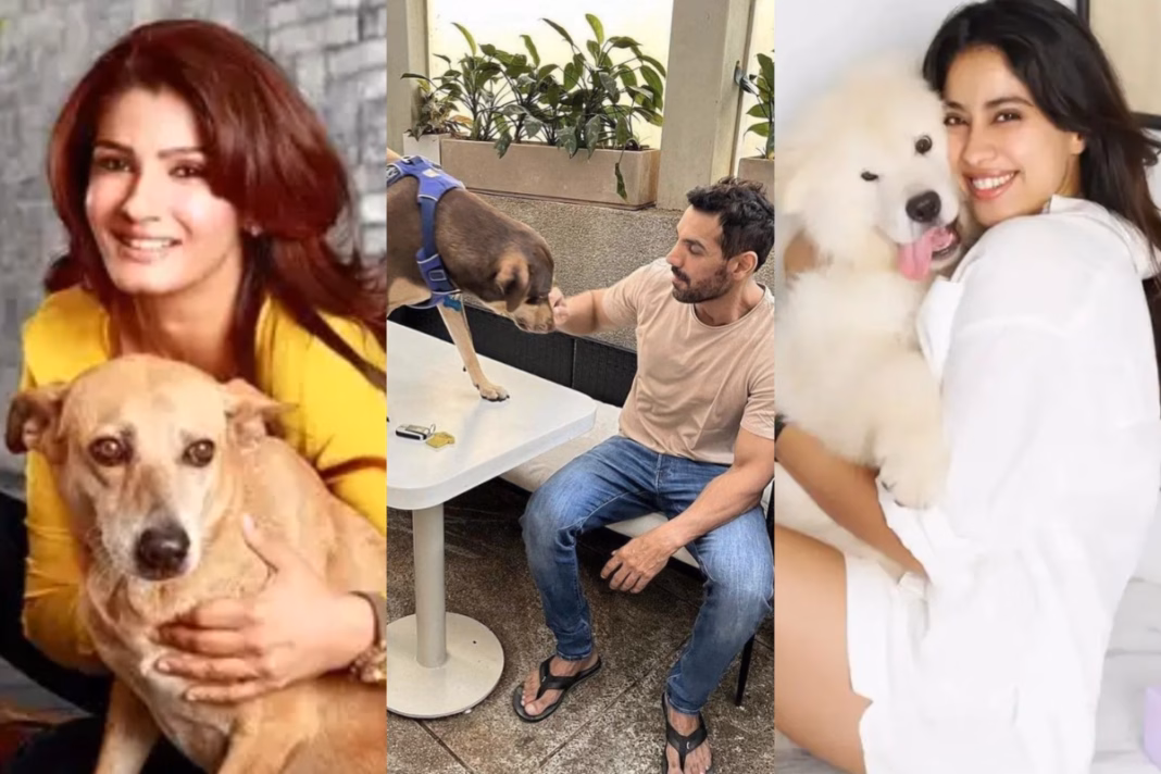 Bollywood stars slam Supreme Court’s stray dog removal order in Delhi. John Abraham, Raveena Tandon, and others call for humane,