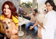 SC Orders Removal Of Stray Dogs From Delhi NCR: John Abraham, Raveena Tandon, Janhvi Kapoor And Others React To ‘Inhumane’ Action – Check Bollywood stars slam Supreme Court’s stray dog removal order in Delhi. John Abraham, Raveena Tandon, and others call for humane,