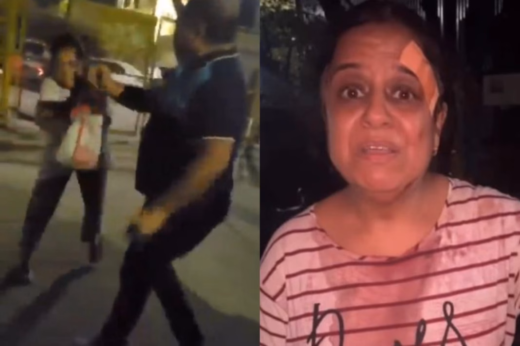 Delhi Viral Video Lawyer Beats Dog Feeders, Police Refuses Help