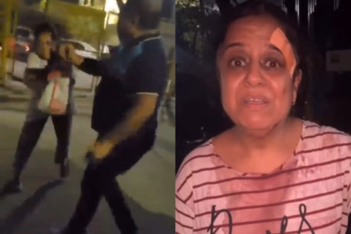 Delhi Viral Video Lawyer Beats Dog Feeders, Police Refuses Help
