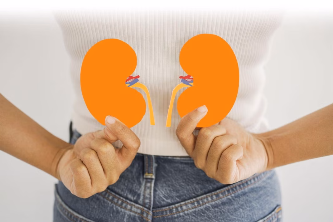 Kidney-Cleansing