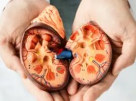 Kidney Health