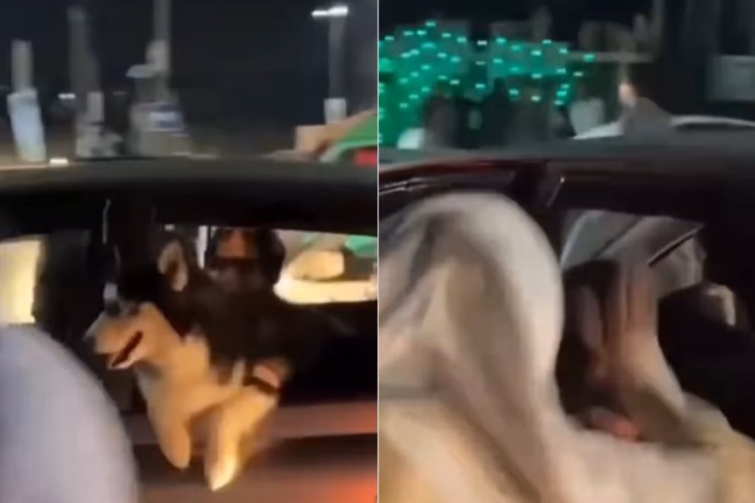 Pakistan Viral Video