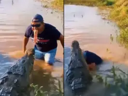 Viral Video