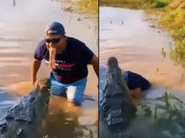 Viral Video