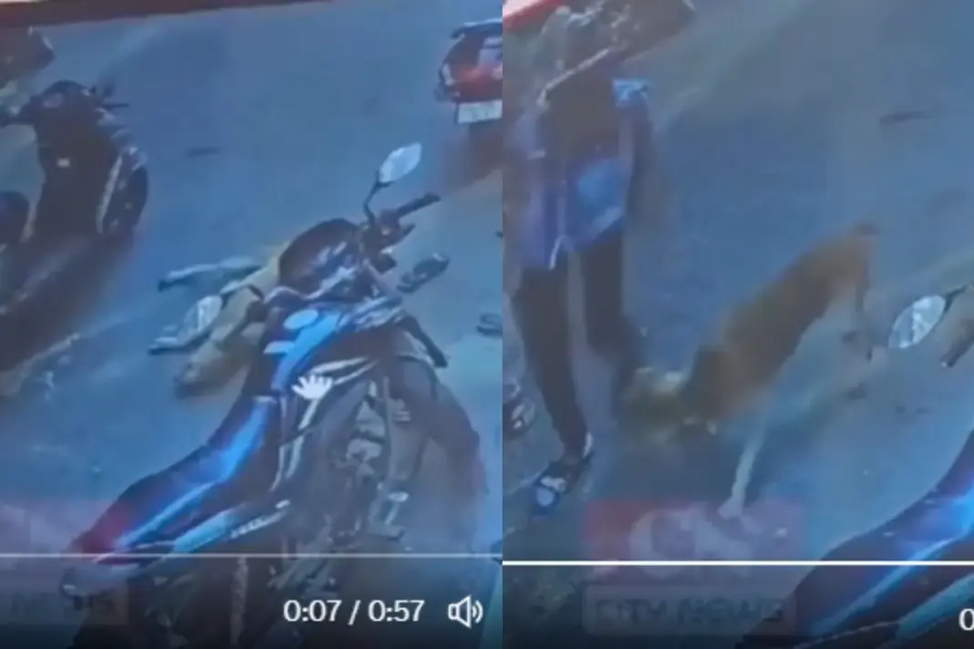 Viral Video