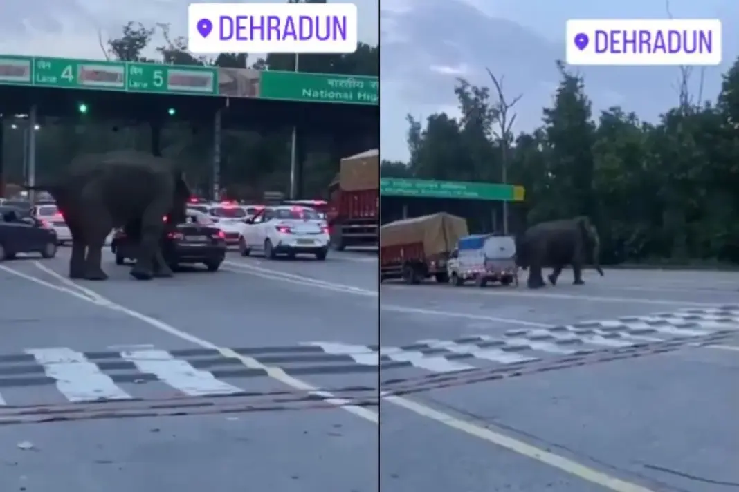 Dehradun Viral Video
