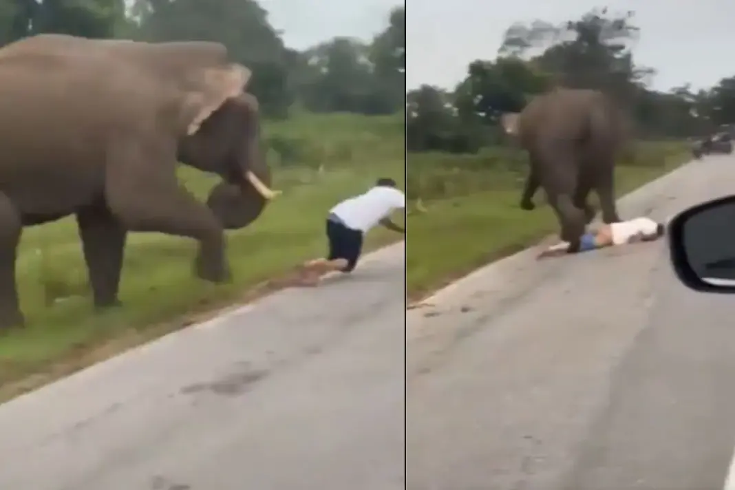 Karnataka Viral Video