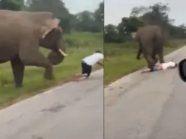 Karnataka Viral Video
