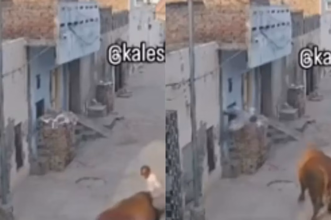 Viral Video