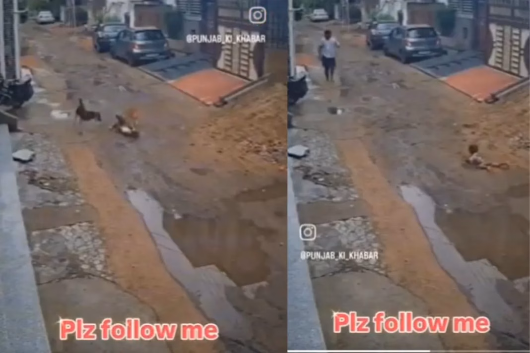 Viral Video