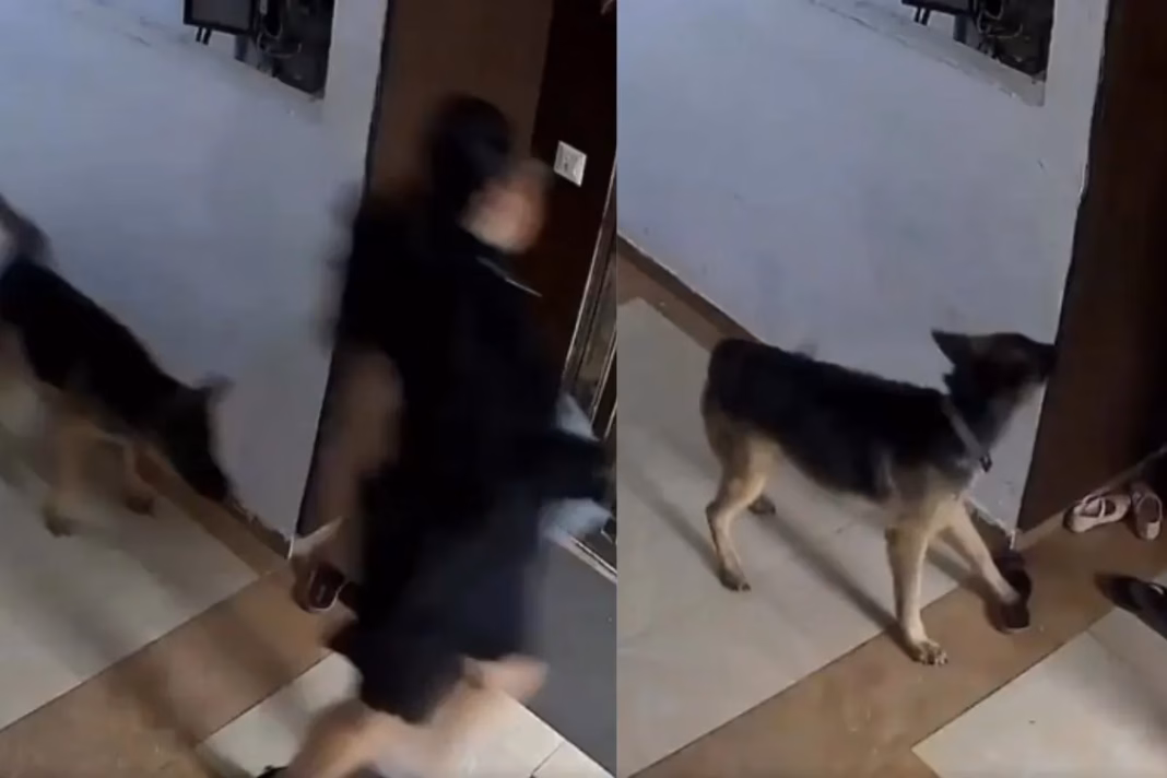 Ghaziabad viral video