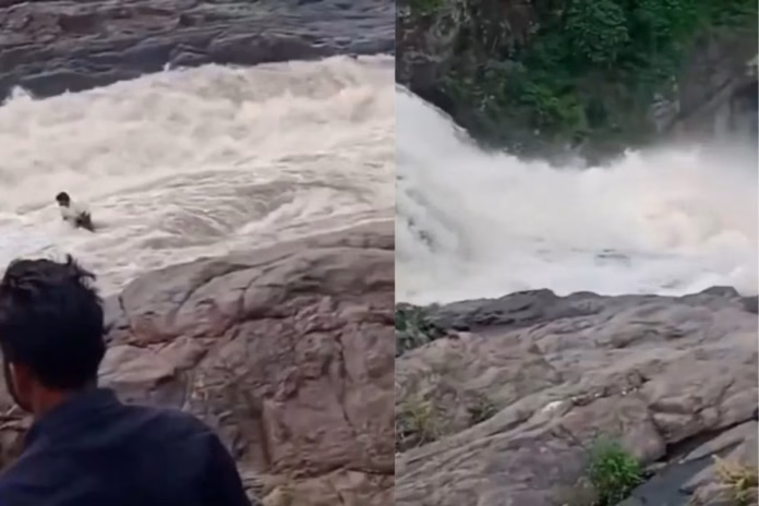 Odisha Viral Video