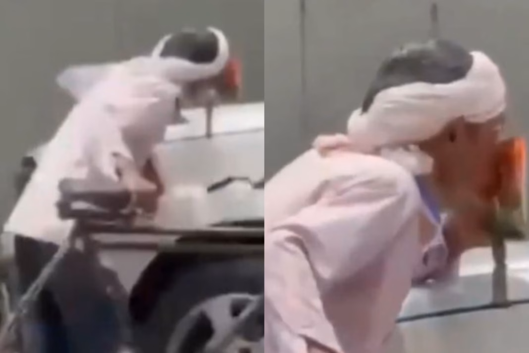 Uttar Pradesh Viral Video Rickshaw Driver KISSES Flag Featuring Akhilesh Yadav, Netizens Say 'Ashleelta Faila Rahe…’
