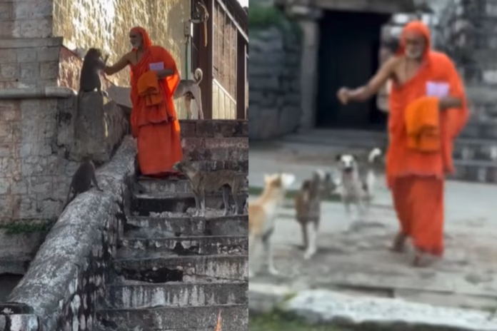 Viral Video (10) Viral Video