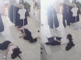 Viral Video