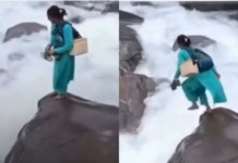 Viral Video: Himachal Health Worker Kamla Devi Bravely Crosses Raging Swad Khad to Vaccinate Two-Month Infant, Netizen Says ‘Respect’ Viral Video