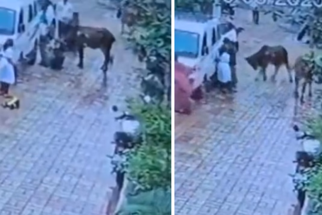 Viral Video