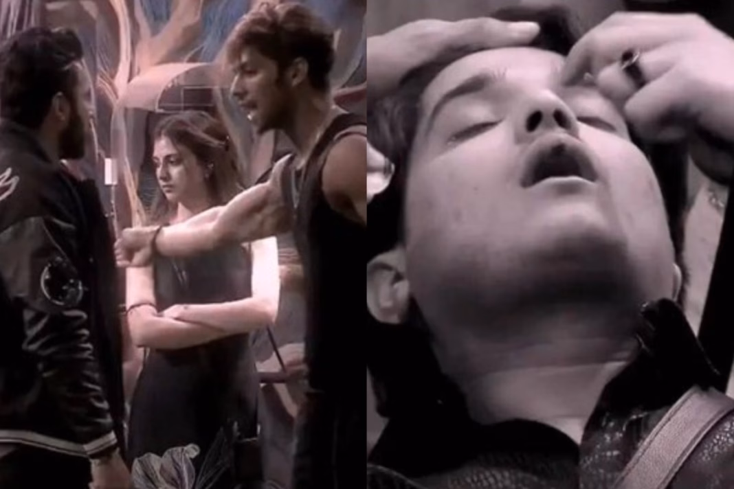 Bigg Boss 19 - Baseer Ali Abhishek Bajaj Fight, Mridul Tiwari Injured