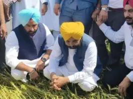 CM Bhagwant Mann