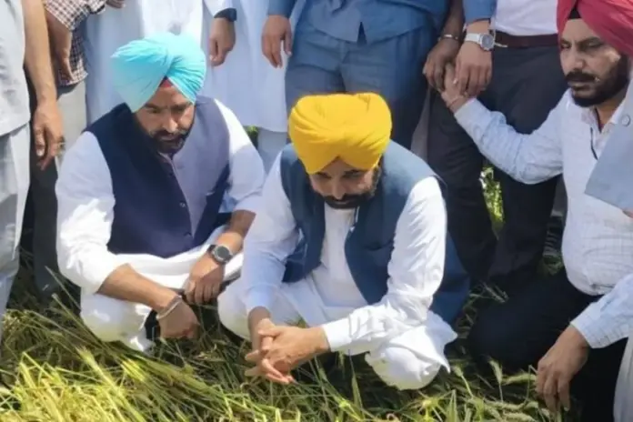 CM Bhagwant Mann