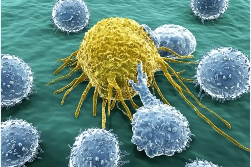 Immune-Silencing Hormone