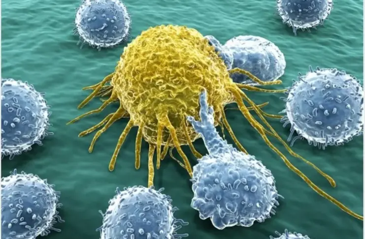 Immune-Silencing Hormone