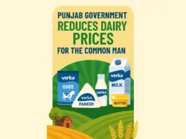 Punjab News
