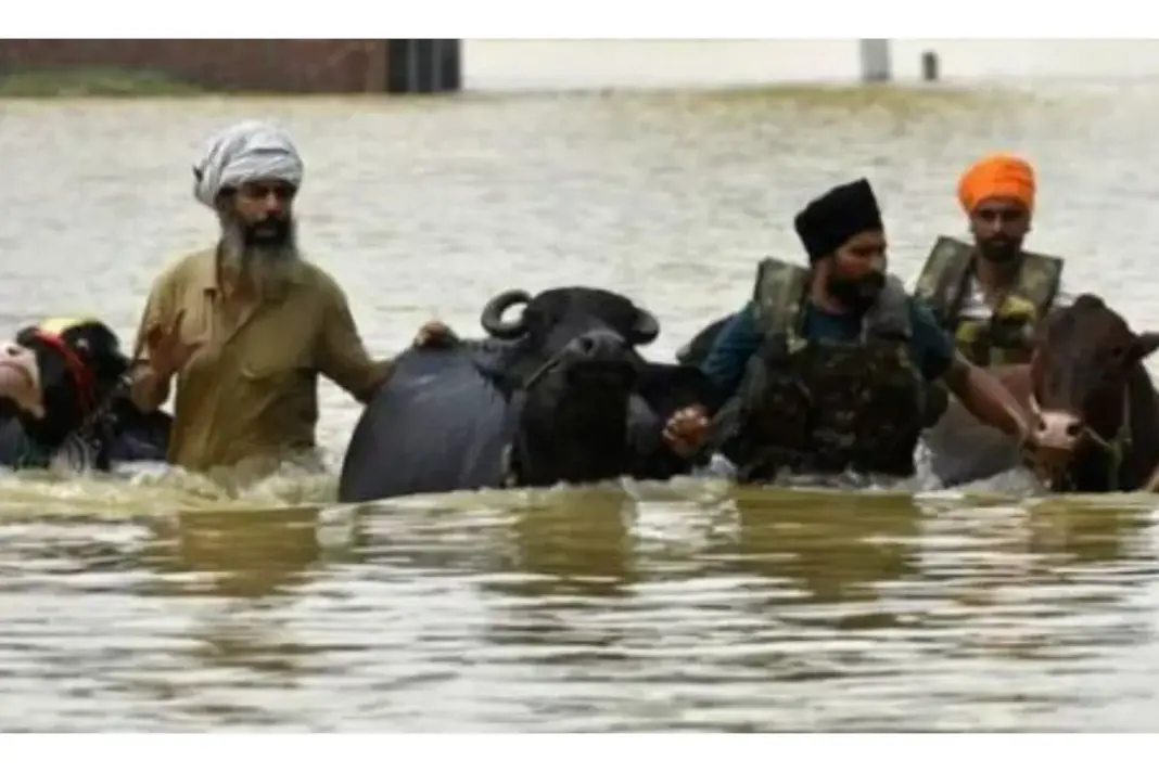 Punjab News