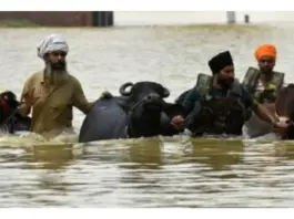 Punjab News
