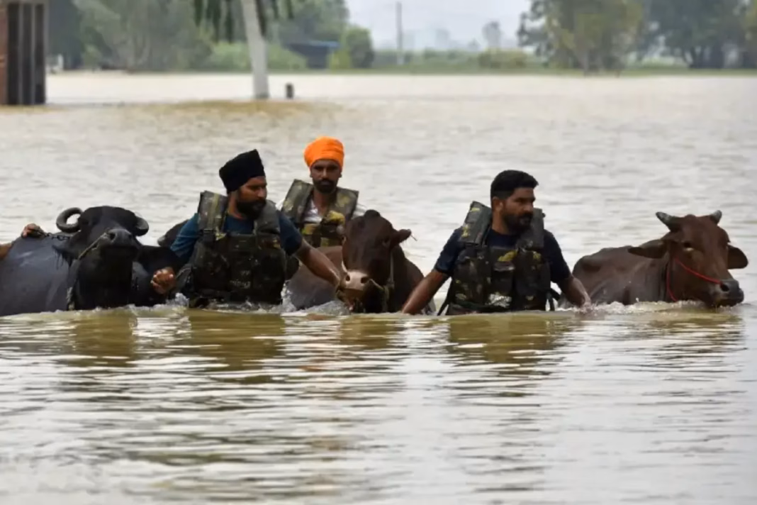 Punjab News