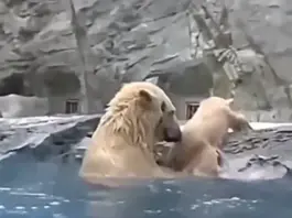 Viral Video