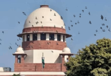 Supreme Court Says No Need To Stay Waqf Amendment Act 2025, Puts On Hold THESE Contentious Clauses, Check Waqf- Amendment- Act- 2025