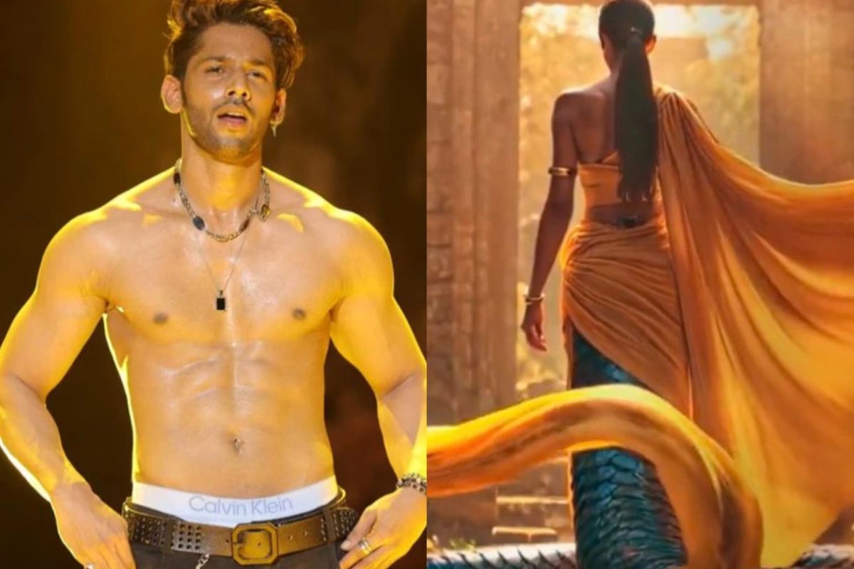 Bigg Boss 19 - Baseer Ali Offered Naagin 7 After Eviction Bigg Boss 19 - Baseer Ali Offered Naagin 7 After Eviction