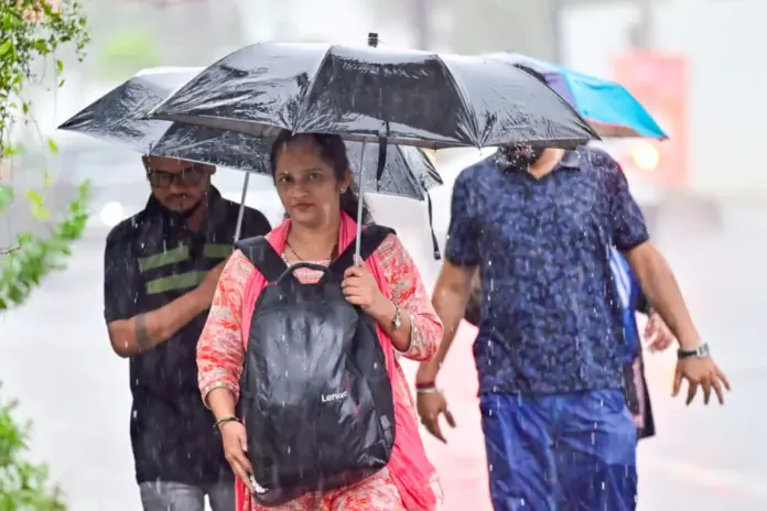 Cyclone-Montha Cyclone-Montha