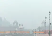 Delhi AQI: PM2.5 and PM10 Levels Before and After Diwali Reveal BIG, Why Are These Dangerous and How to Stay Safe Explained Delhi-AQI