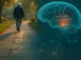 Does Dementia Have a Leg Connection Or Start in Brain ? Doctors Reveal Shocking Walk-to-Memory Connection Dementia