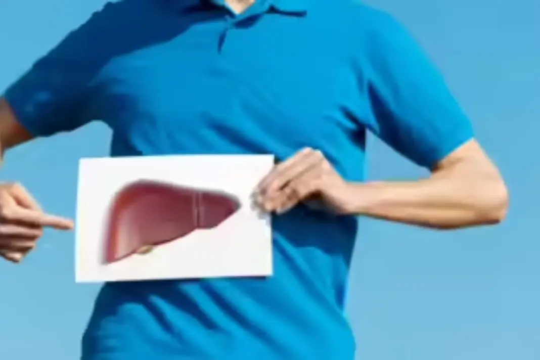 _Fatty Liver Fatty Liver