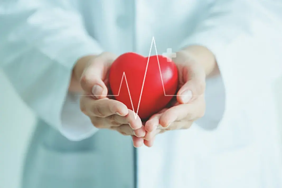 Heart Rates
