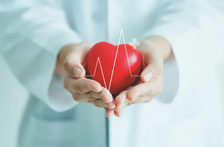 Heart Rates