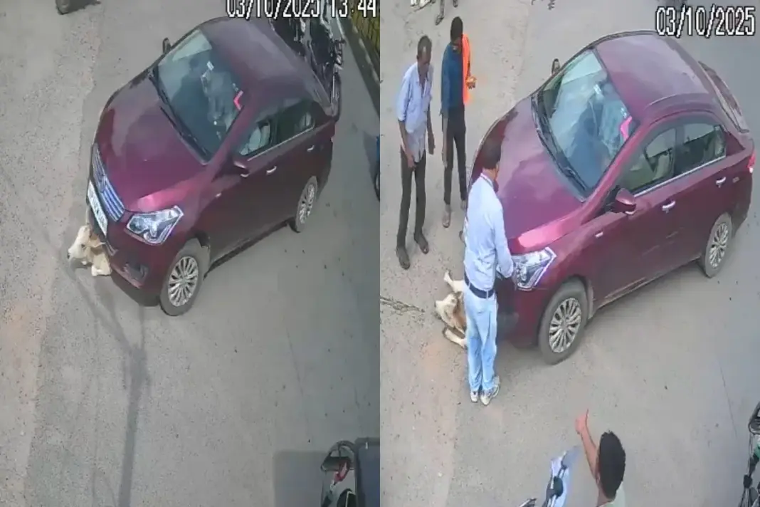 Jhansi Viral Video