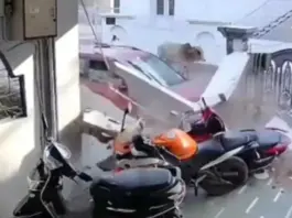 MP Viral Video